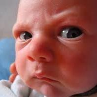 TheRealMikeEll's profile picture. 2 decades in software development.  Always learning...always improving.