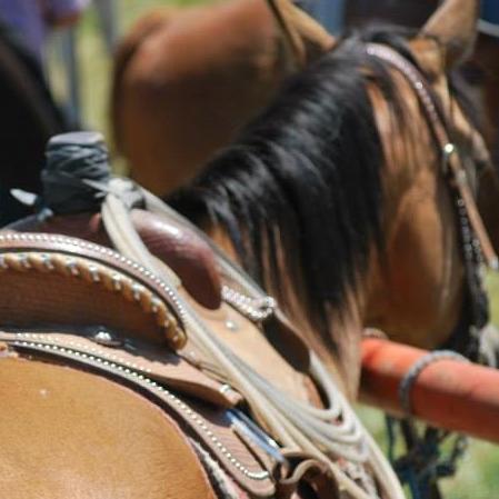 Trail Rides, Lessons, Competitive Rodeo Team, Dinner Trail Rides, Ladies Only Trail Rides, and Horse Sales