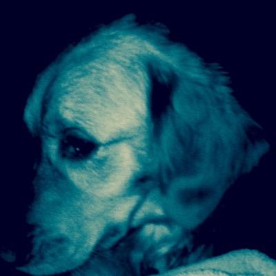 cn8morhhh's profile picture. Rick Grimes and Carl Grimes are BÆ #WALKING DEAD IS LIFE#ilovedogs