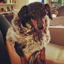 Heather Casteel - @hcasteel - Twitter