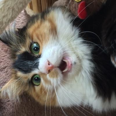 takagaki00's profile picture. 