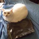 Sean Callaway - @crusadertrader7 - Twitter