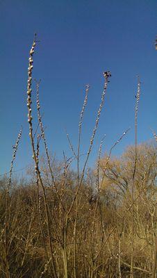 bienchen7009's profile picture. 