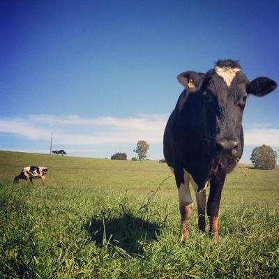 ThomasCastilho's profile picture. ...