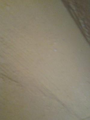 shungaakofour's profile picture. 