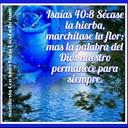 Luz Garcia (@1967Aza) Twitter