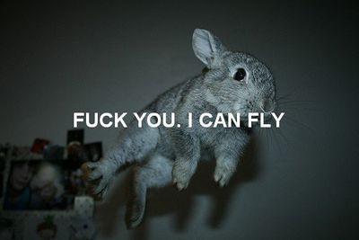 Franna666's profile picture. 