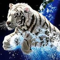 neelakanthklb63's profile picture. 