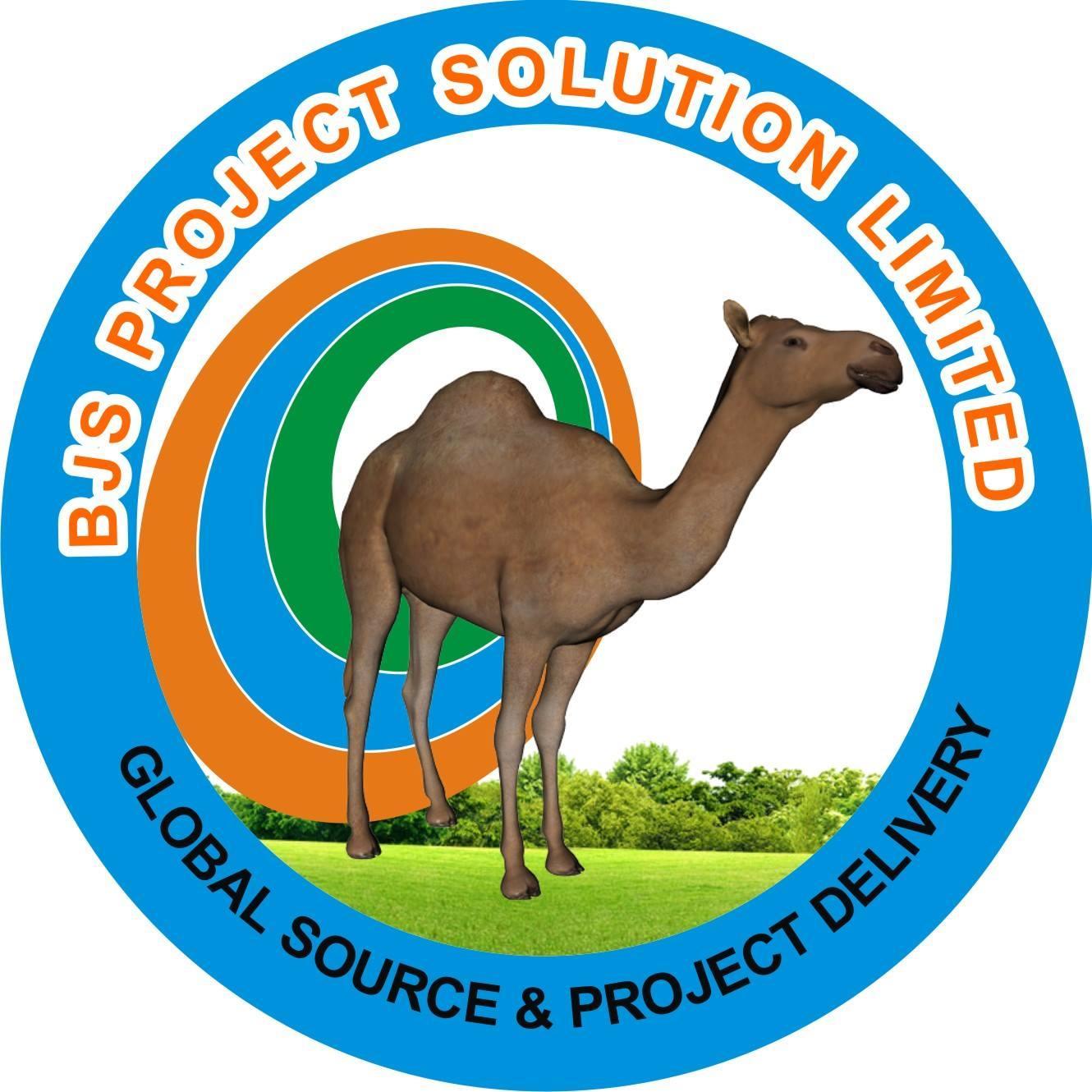 BJS Project Solution is an indigenous company based in Nigeria. The company has a medium staff size, with various operational and technical services