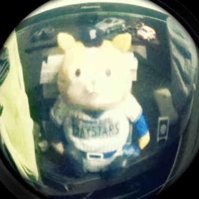 やまこ