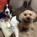 前田賢一 - @ken1maedaM5 - Twitter