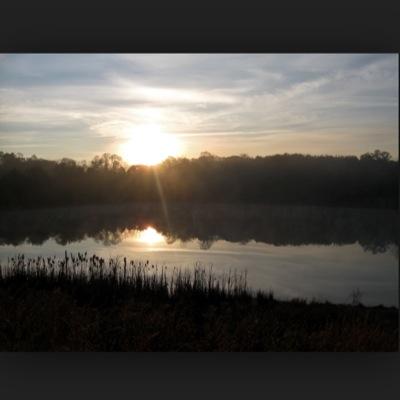 Misty_Dawning's profile picture. Real talk. Love, sex, relationships, and heartbreak. People need to hear it this way.