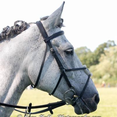 lucygabriellew's profile picture. 