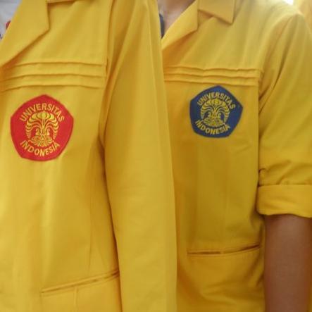 Jaringan alumni dan aktifis UI
