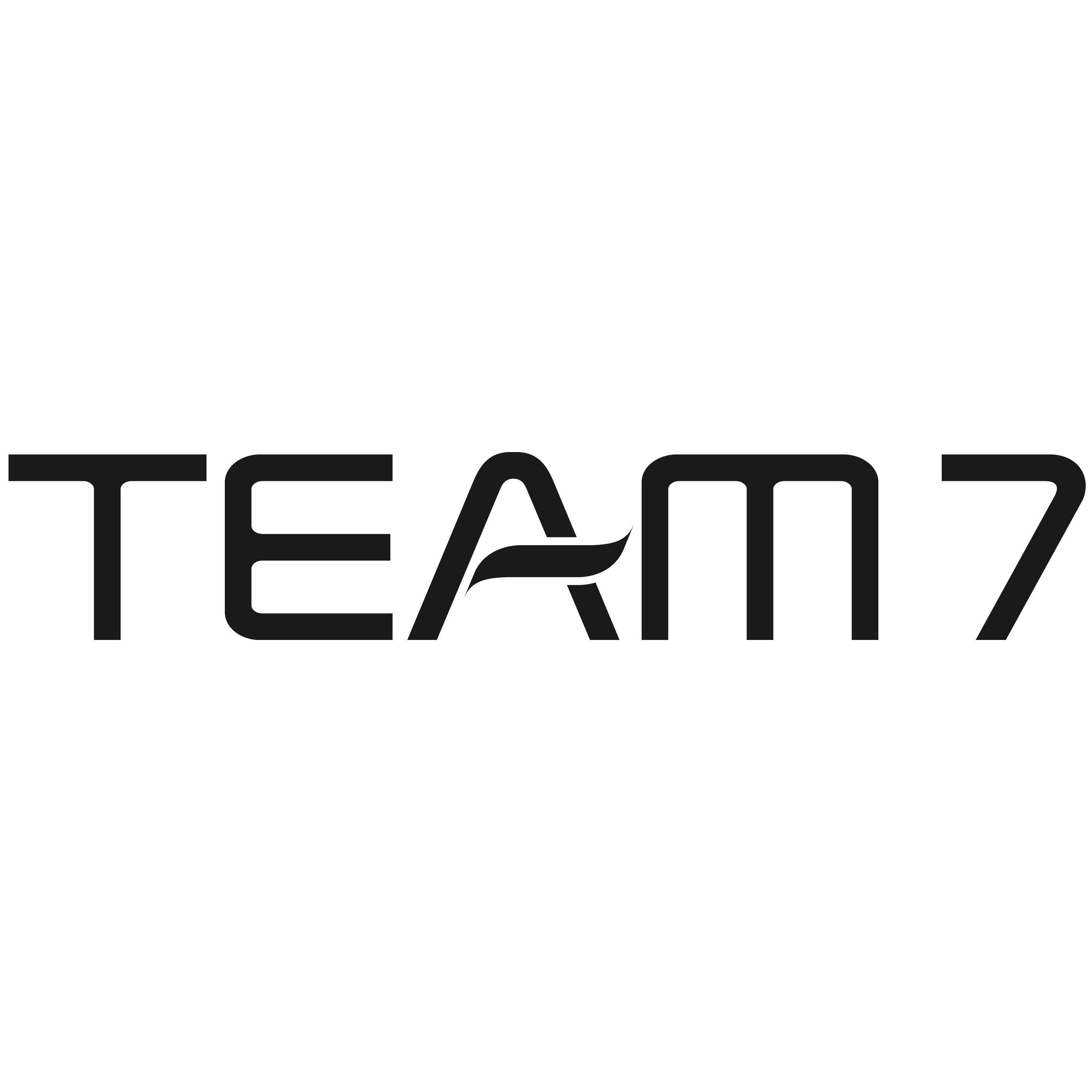 Team 7 Ried Team 7 Ried