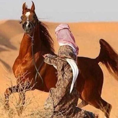 ( شــ ـمـ ــر ــي ) دار جابر *مجهول الهويه قالو بدو قلـت الكـرم والنخـاوهَ وأفعالهم فى ذمتى ترفـَع الـراس




تفضلو بزياره مفضلتي