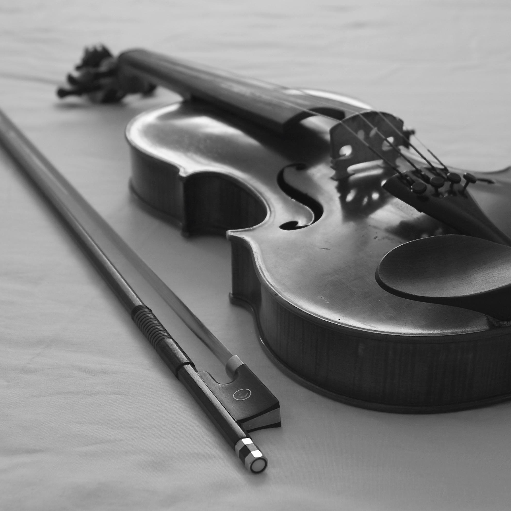 Professional Musicians in the Cape Town area. Available for weddings, events and functions. Enquiries: admin@etcmusic.co.za