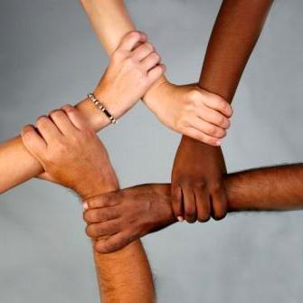 Supplier Diversity Intern