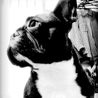 chipakaku's profile picture. kakuda! nanoda!