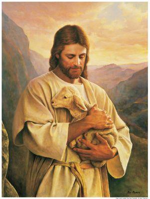 altjs9809's profile picture. 