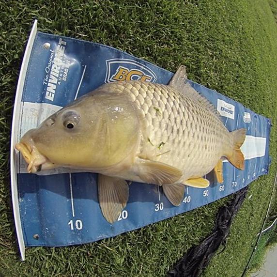 Send me your no.1 question you most want to know about carp fishing and i will send you a FREE copy of my brand new EBook once its complete.
