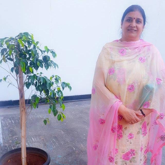 Herbal R&D & Organic Farming Consultant