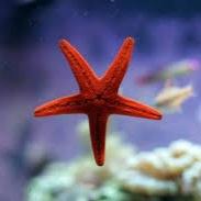 CettinaArduino's profile picture. Segretaria Regionale FIT CISL Sicilia