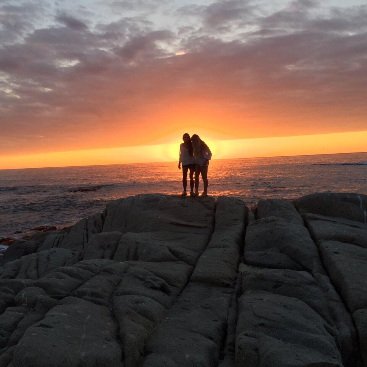 vfigtree's profile picture. 