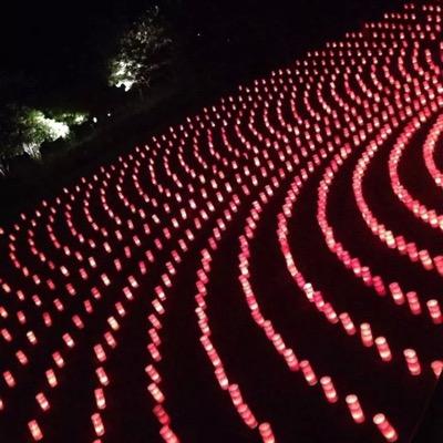 diamond41832899's profile picture. イルーナ戦記まだまだ初心者です パラ目指してます レベル上げ、武器、装備使ってないのがありましたら分けて頂けませんか。？