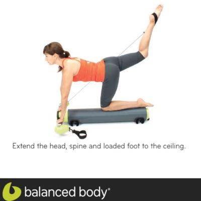 MOTR, More Than a Roller, (previously known as CoreFitnessRoller. Smart exercise made simple. Endless Challenges, Core Conditioning, Total Body Exercise..