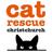 CatRescueChch's profile image