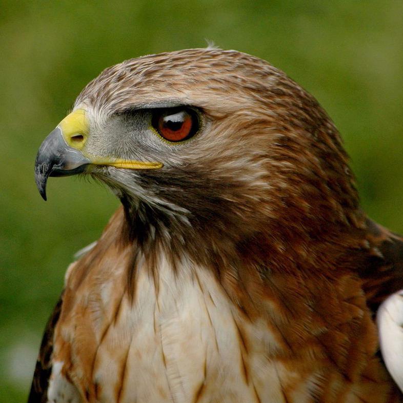 GranadaTrader's profile picture. 