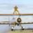 Wingman1882's profile image
