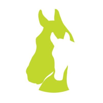 thoroughbredinternet Profile