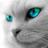 poklipo's profile image