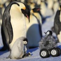 Kouki Kawakami (@kk_kawakami) 's Twitter Profile Photo Kouki Kawakami (@kk_kawakami) 's Twitter Profile Photo