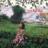 nurulfa63976270's profile image