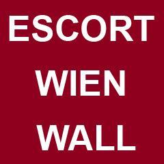 EscortWienWall's profile picture. 