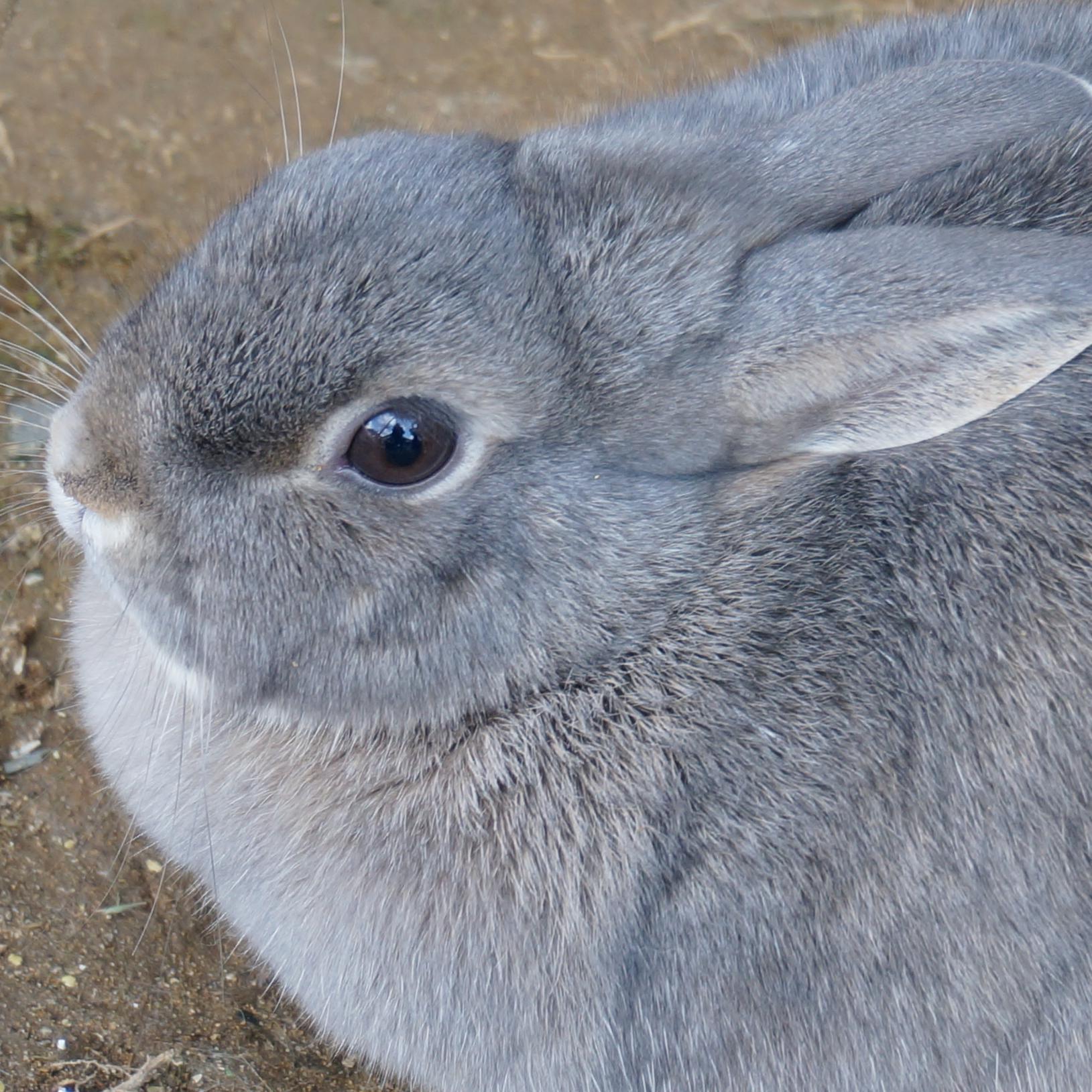 poyousa01ngn's profile picture. 日本海側の静かな片田舎で毎日ドタバタ慌しく過ごしているサラリーマン。　  最近は少ない休みで行く小旅行が趣味。筆不精ですがちまちま書き込んでいこうと思います。 趣味やコミュニティ中心につぶやきたいと思います。