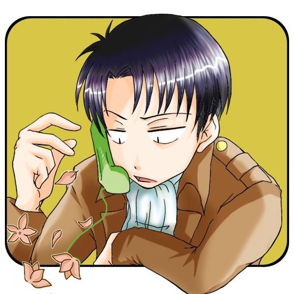 布逗＠アイコンはさな兵長さんのプロフィール画像