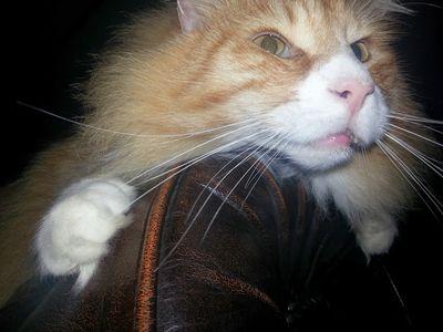 MarkMarmarcha's profile picture. 