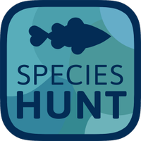 SpeciesHuntUK(@SpeciesHuntUK) 's Twitter Profile Photo