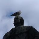 Alasdair J Reid - @_AliReid_ - Twitter