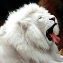 Dale Frederick - @DaleDfalive - Twitter