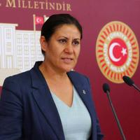 Sakine Öz (@sakine_oz) 's Twitter Profile
