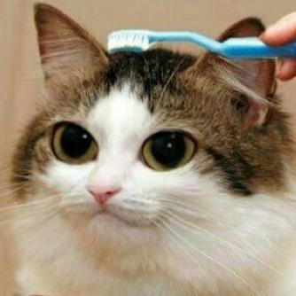 derTrouble's profile picture. 14 | Filmemacher und Entwickler | 35/3500