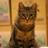 Massan0724's profile image