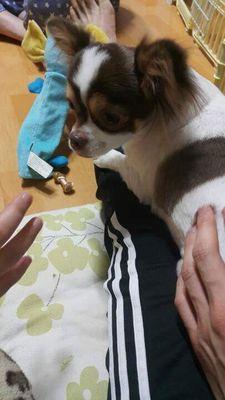 안녕하세요!21살입니다다들감기조심하세요!