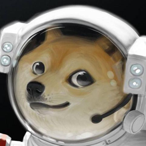 lu_le98's profile picture. 