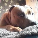 Sharon bunn - @sharon_bunn - Twitter